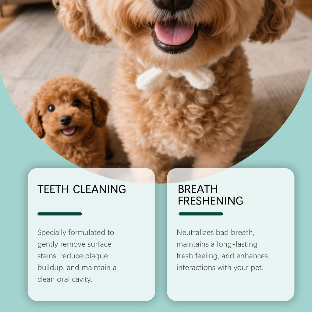 Poudre de nettoyage de dents de chien