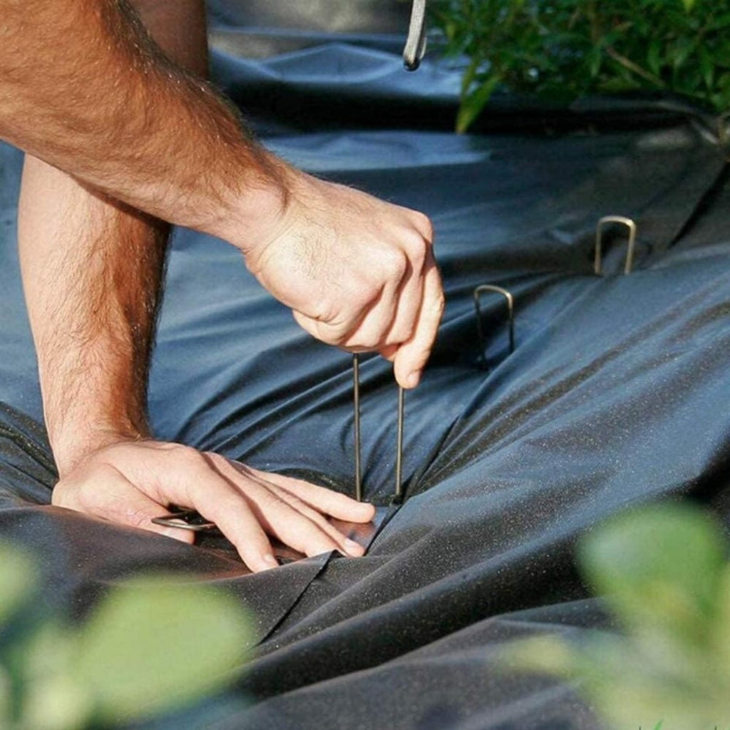 Ensemble de 80 pièces d'épis à terre robustes avec rondelles