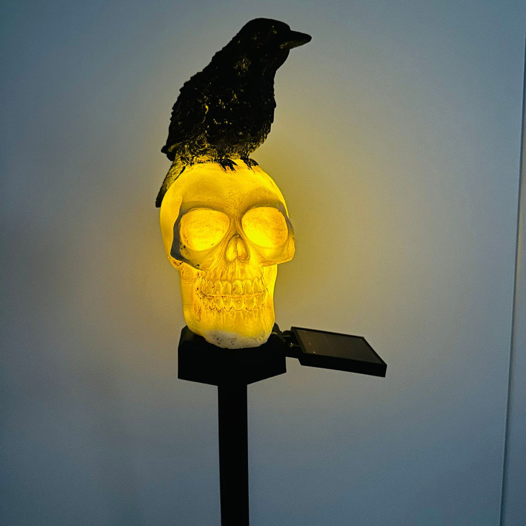 Lanterne en résine pour décors d'Halloween sur le thème du crâne