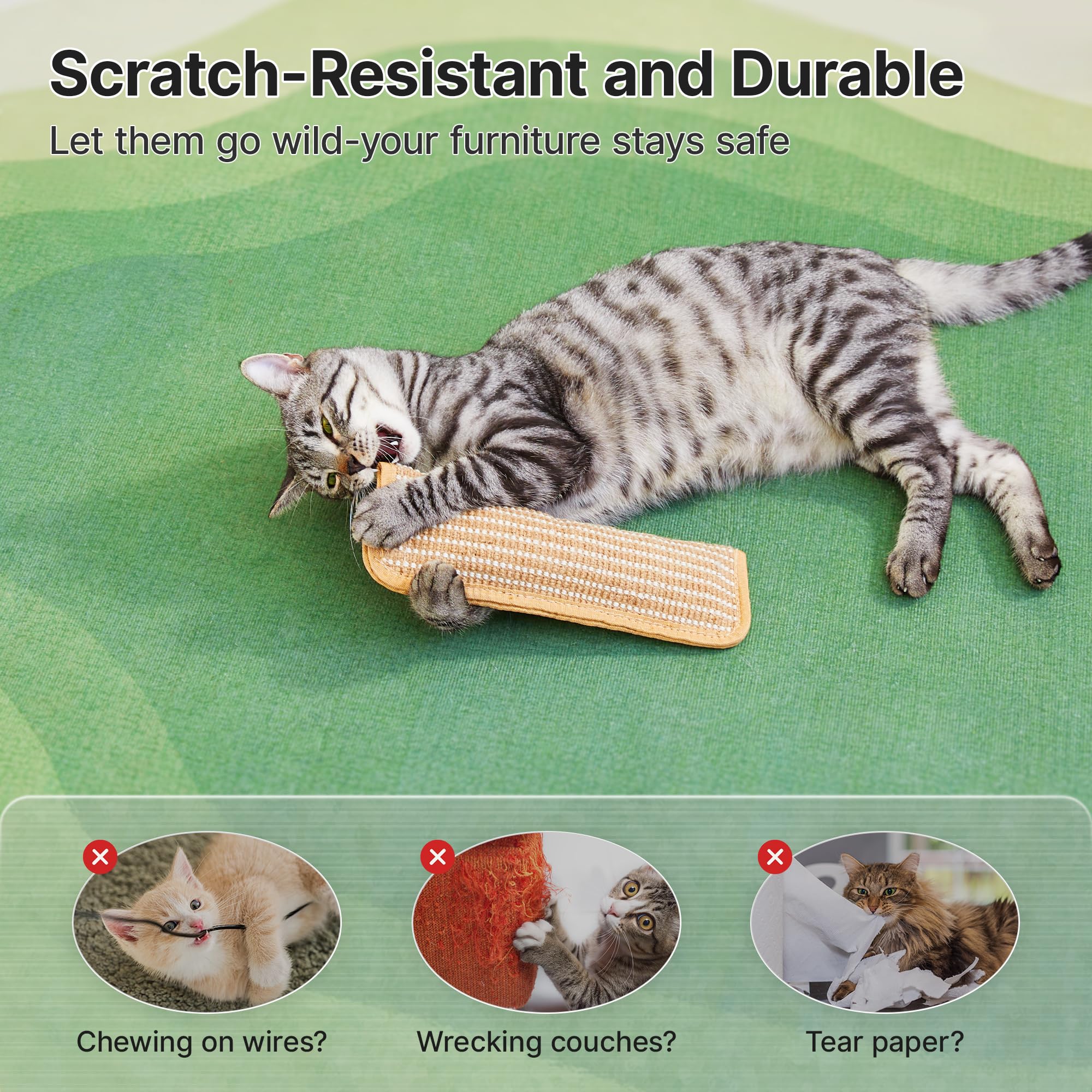 Lot de 2 jouets pour chats avec du panais biologique