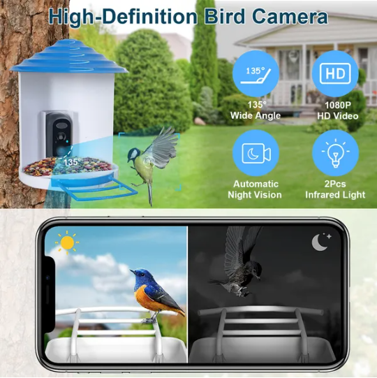 Smart Bird Feeder avec caméra solaire 1080P HD AI identifier PIR Motion Auto Capture V