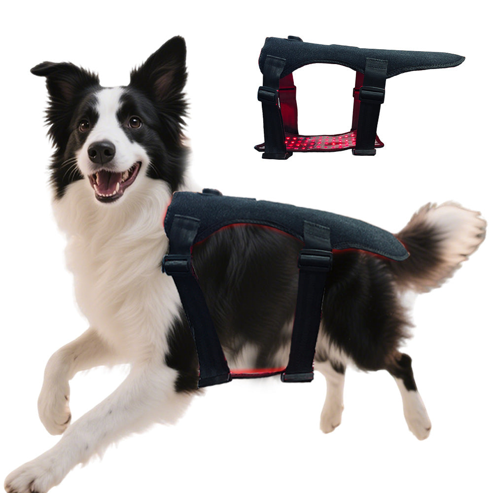 Ceinture de traitement de lumière rouge pour les chats et les chiens