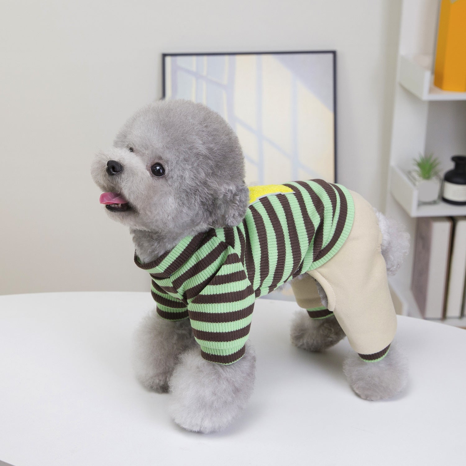 Hoodie chien avec vingt-cinq rayures Casual Style Set