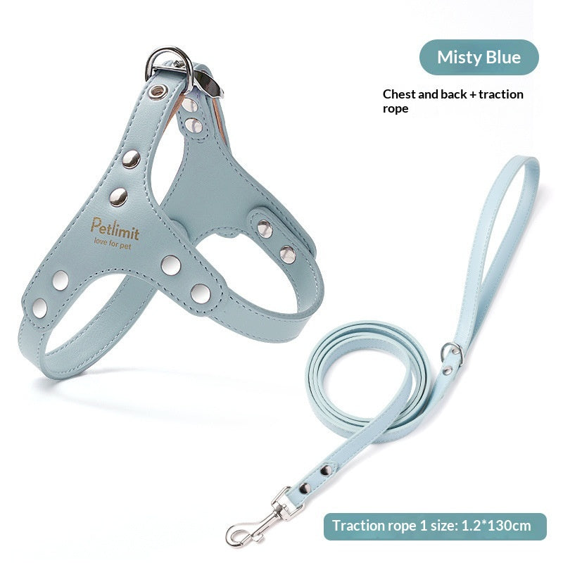 Harnais en cuir et laisse pour chiots pour petits chiens
