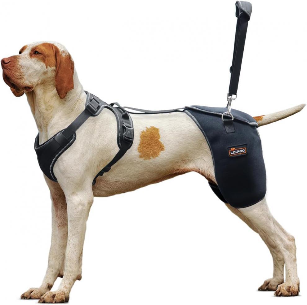 Dog Hip Joint Support Knee Brace Comfortable and Breathable Chest Harness