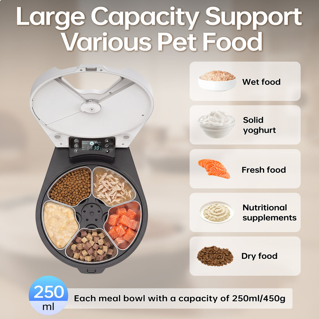 Alimentaire de chat humide automatique