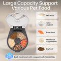 Alimentaire de chat humide automatique