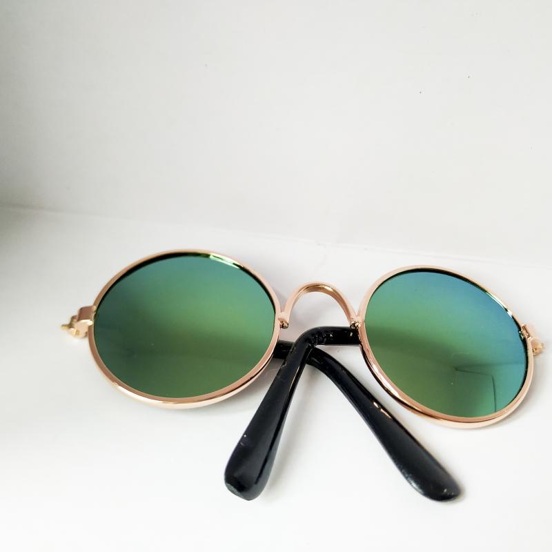 Lunettes de soleil pour chats