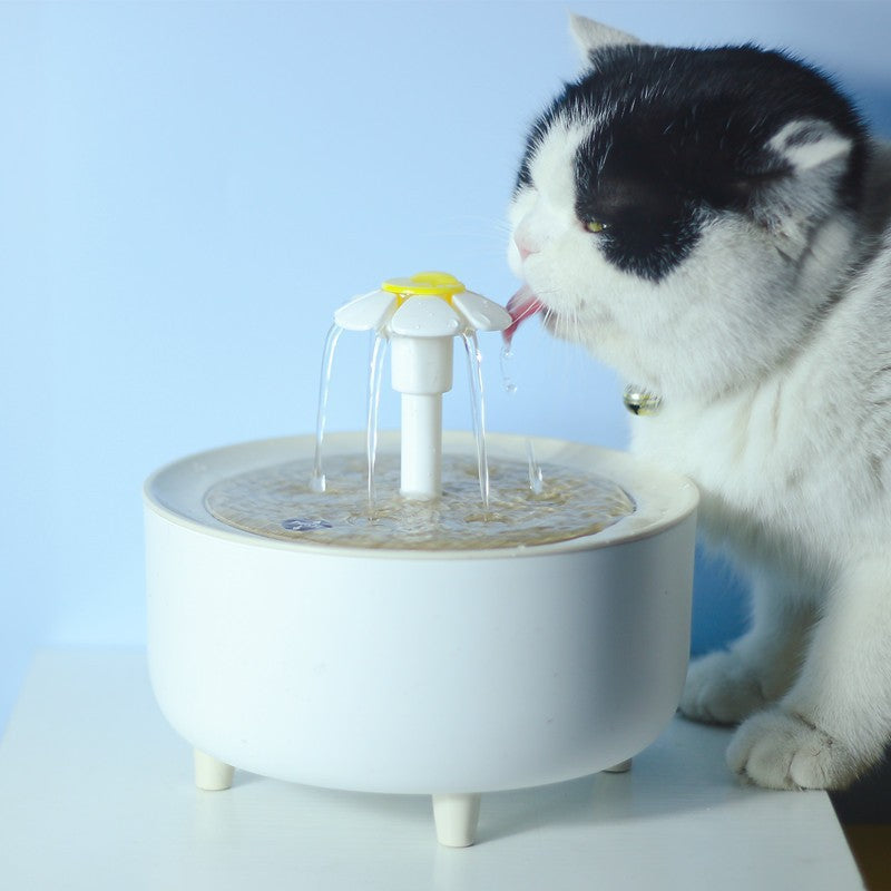 Fontaine d'eau pour animaux domestiques à filature automatique