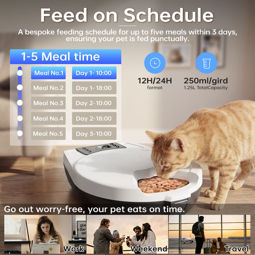Alimentaire de chat humide automatique