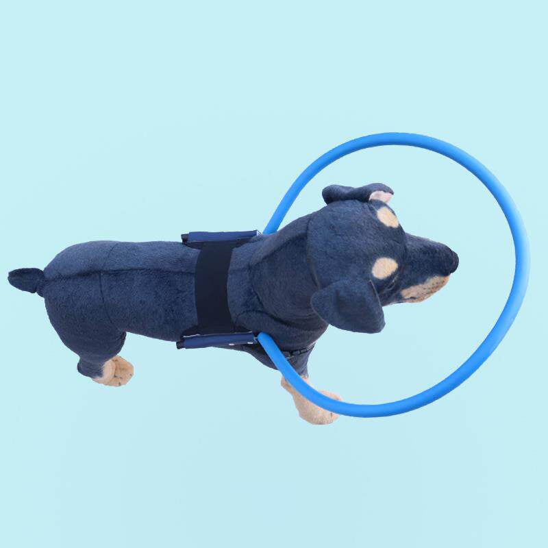 Anneau de protection de la tête pour les animaux aveugles pour prévenir les blessures à la tête et aux yeux
