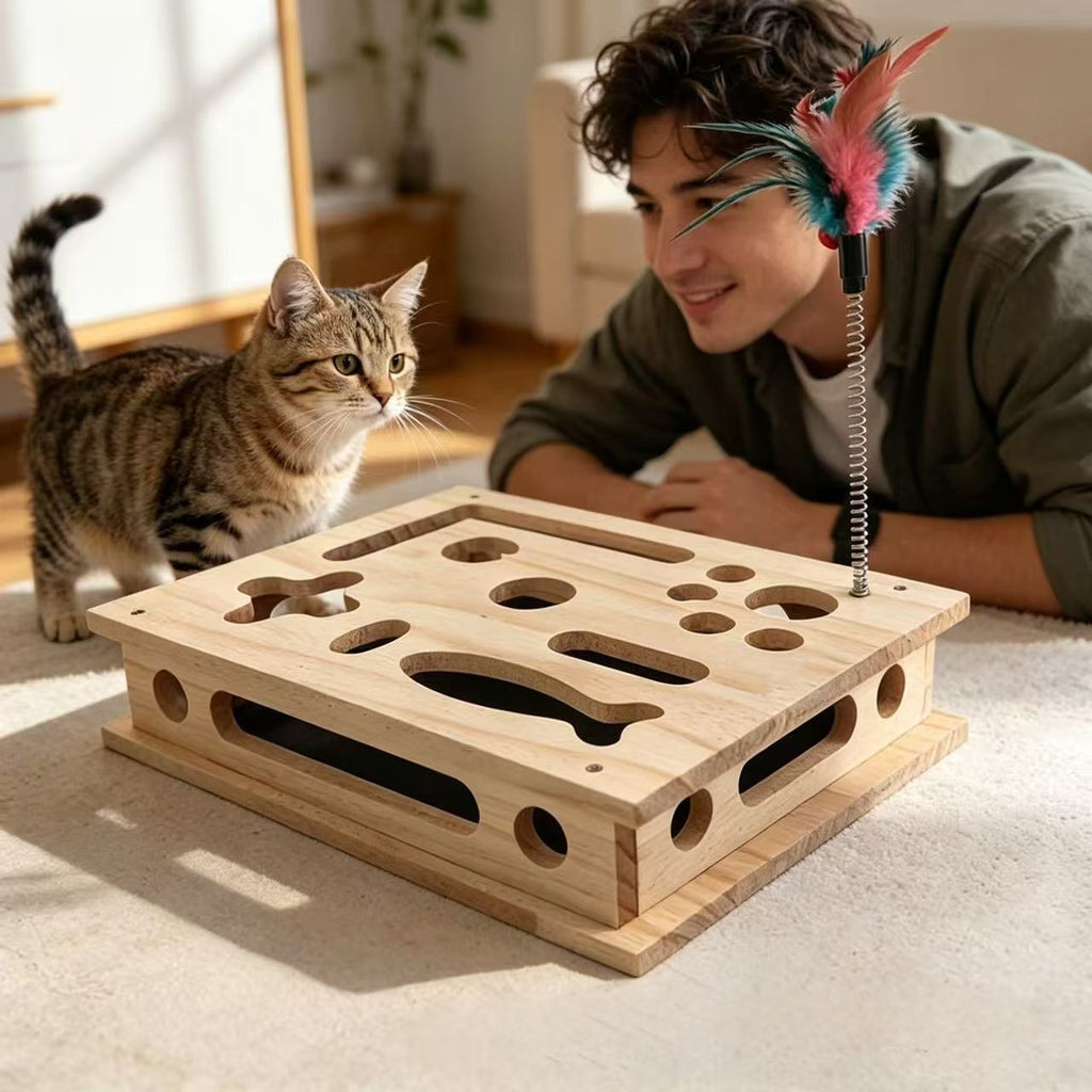 Boîte à gratter de chat amusante en bois pour taquiner et self-entertainment