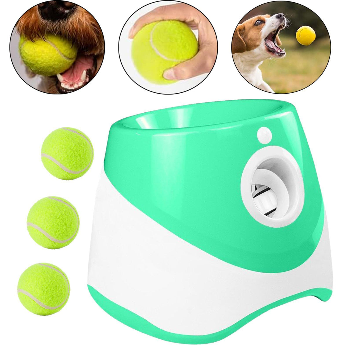 Launcheuse automatique de balle de chien à lancer des chiens intérieur extérieur