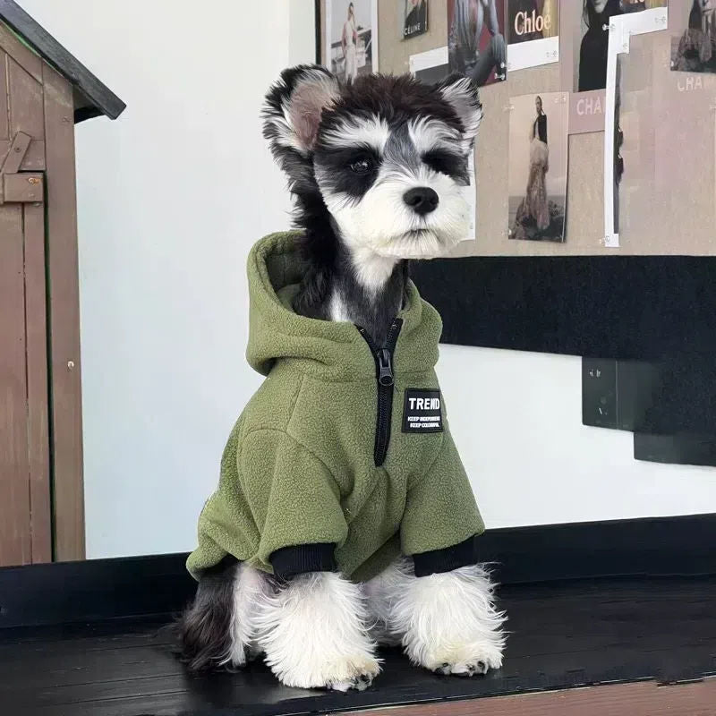Hoodie à capuche tendance pour petits chiens
