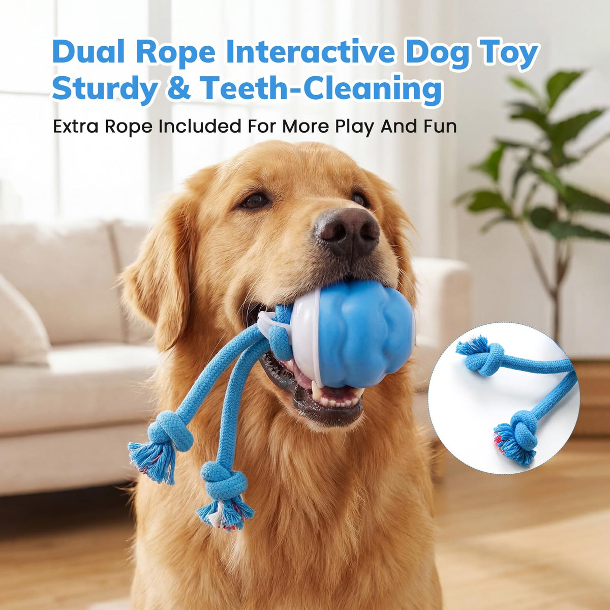 Jouets pour chiens, Jouets pour chiens interactifs, Balle pour chiens interactive automatique, 3 modes de mouvement activé D