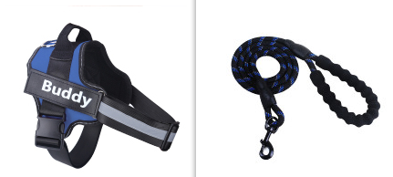 Set de ceinture de poitrine en laisse d'animal de mode simple