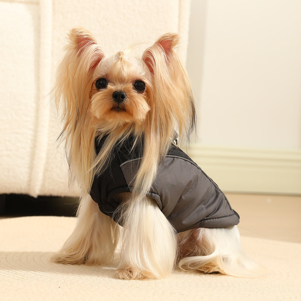 Vêtements pour animaux de compagnie Manteaux réfléchissants Automne et vêtements d'hiver Contraste couleur Traitage de la coquille Épais