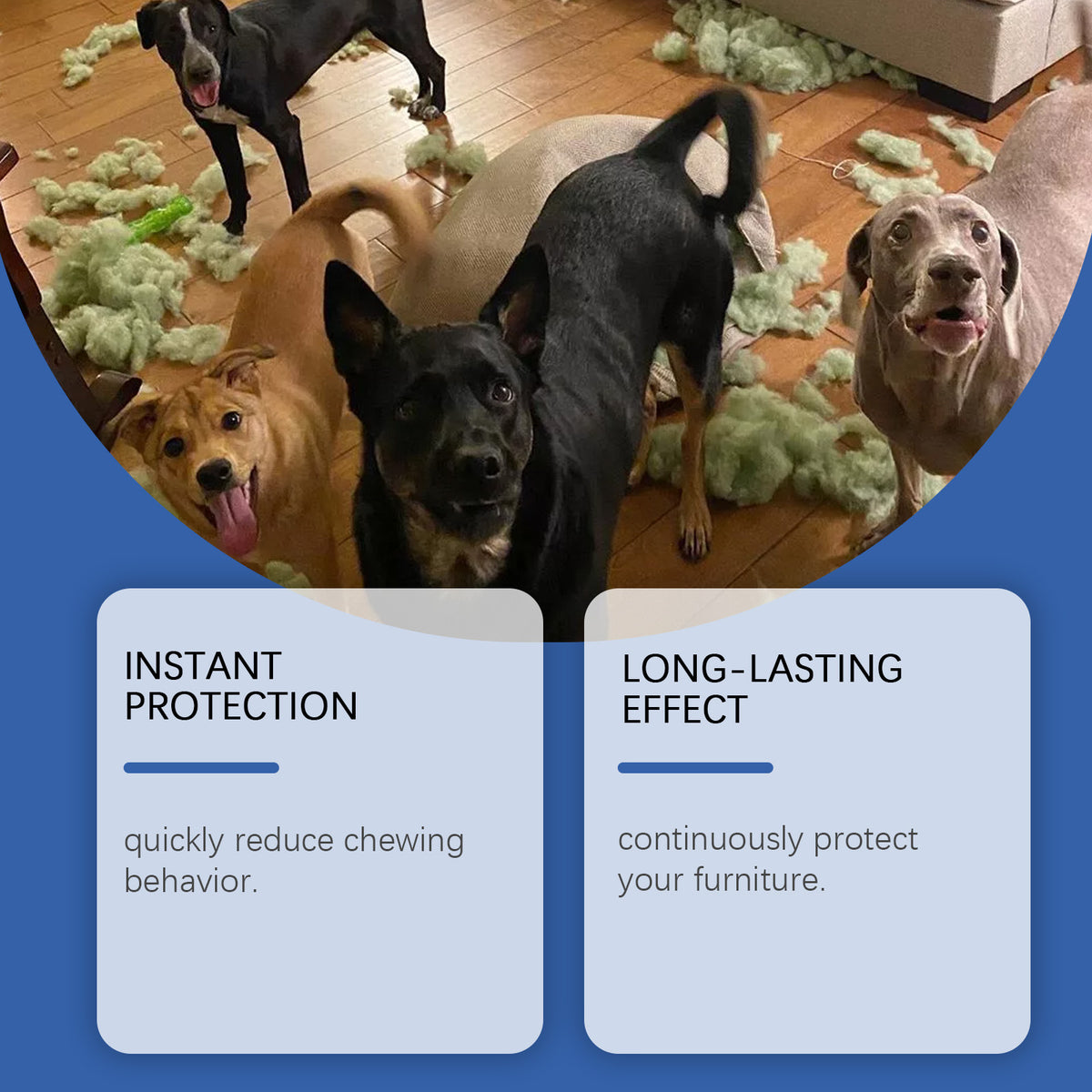 Spray anti-chewing pour chien eggbong