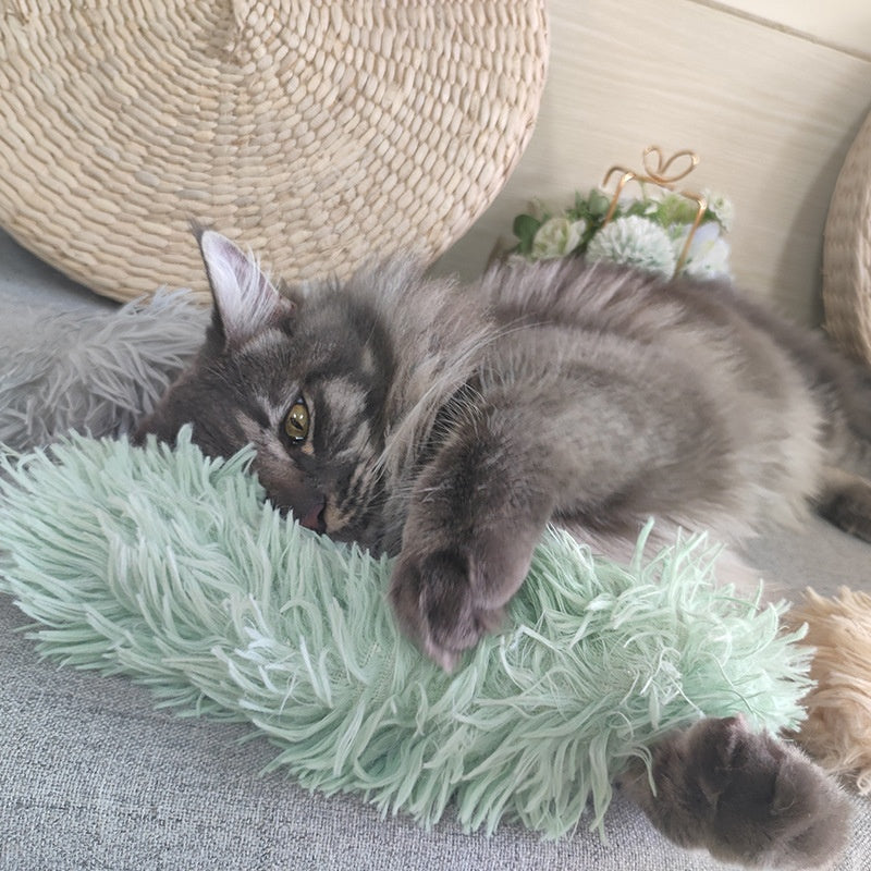 Contenant du papier d'anneautage Catnip Résistant aux bits Cat Auto-Hi Toy Pet Supplies