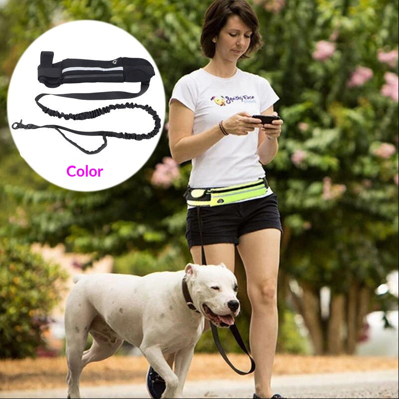 Entraînement pour animaux de compagnie Multi-Pocket Légère laisse
