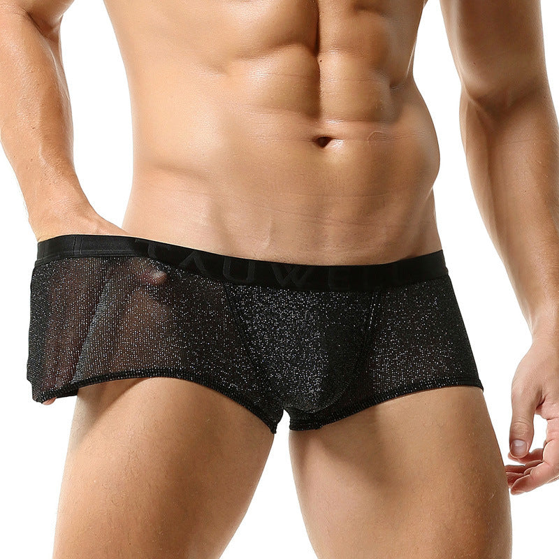 Sous-vêtements pour hommes Low Waist Sexy Mesh U Convex Boxers pour hommes Sous-vêtements pour hommes brillants