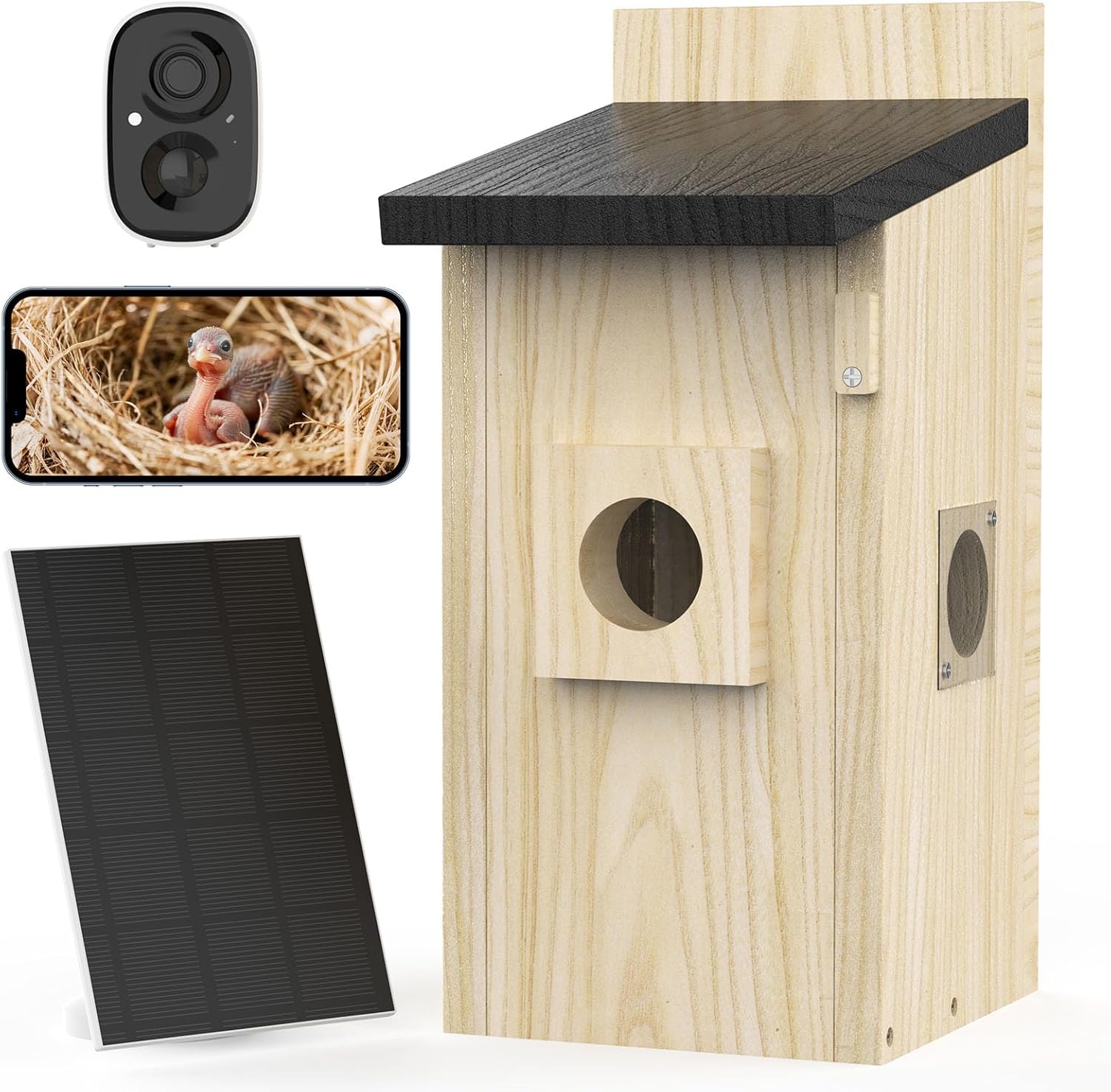 Maisons d'oiseaux intelligentes pour l'extérieur solaire alimenté