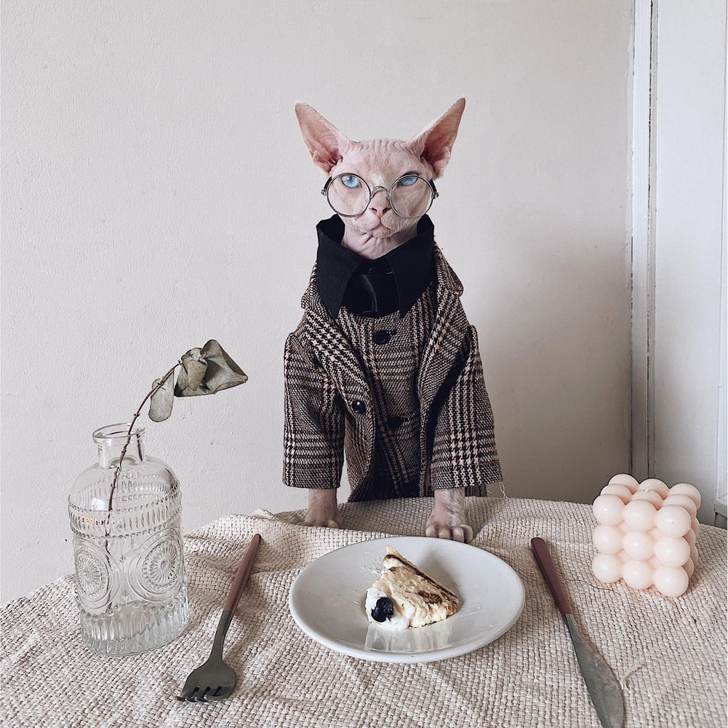 Robe de chat Sphynx Tie Vest Blazer Set pour chats sans cheveux