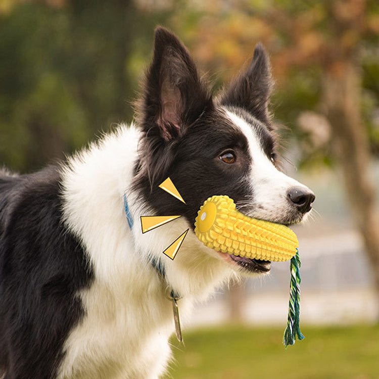 Animaux de compagnie Simulation Maïs chien anti-acouphène Jouets sonores d'évent