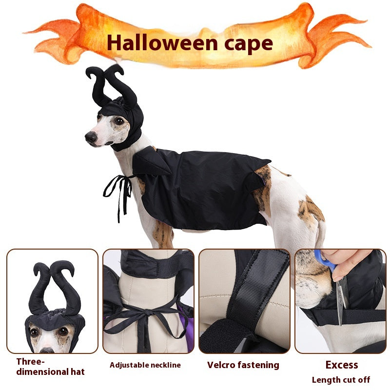 Vêtements de chien d'Halloween et de chapeau
