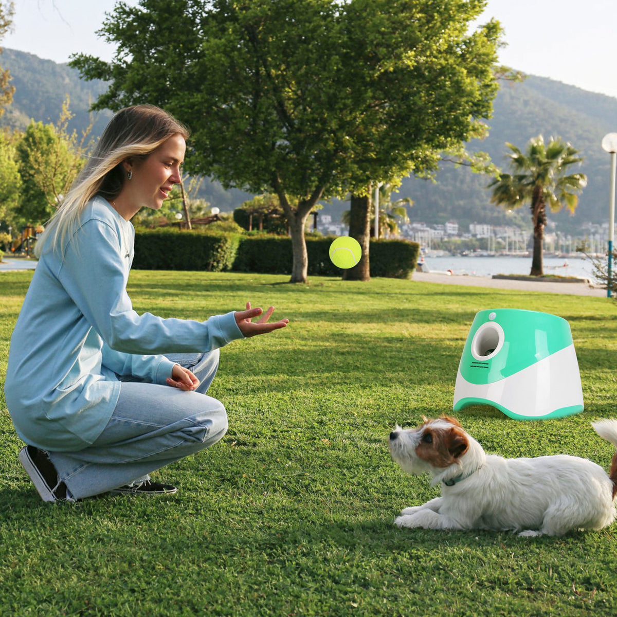 1Pc Automatic Ball Launcher Toy Included 6 Dog Tennis Balls with 3 Adjustable Throw Distances