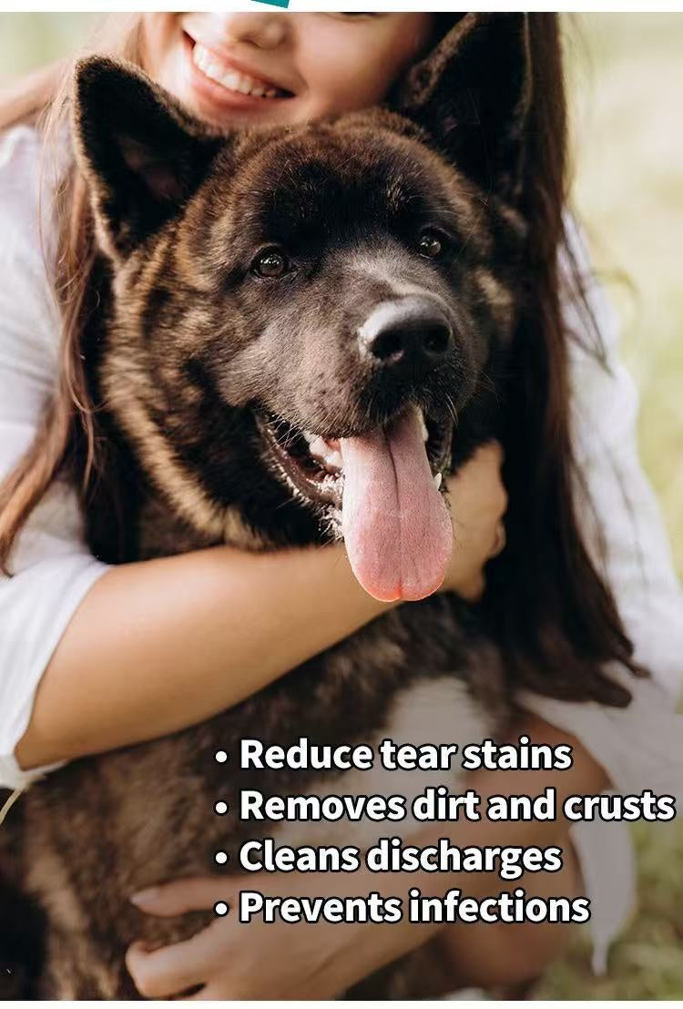 Animaux de compagnie Enlèvement des dents Chiens et chats Wipes de déchirures