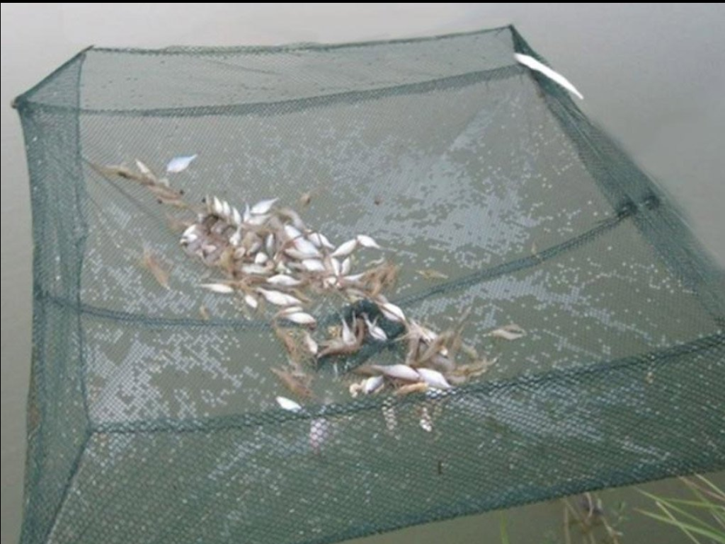 Équipement de pêche au filet