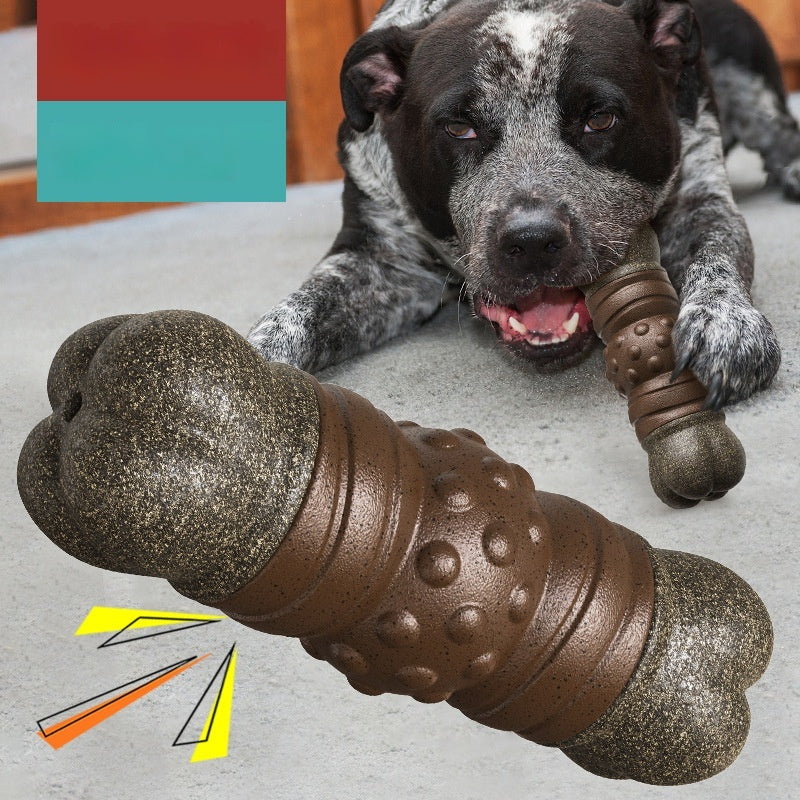 Jouet de brosse à dents pour chien osseux