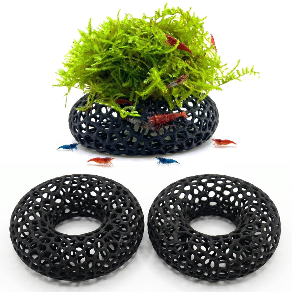 Grotte de crevettes pour la mousse et les plantes