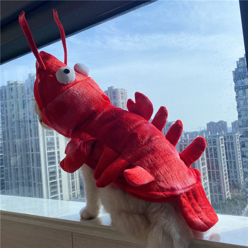 Halloween Cat Lobster Vêtements Année Noël