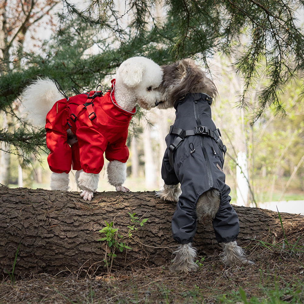 Personnalité de mode Chien Pet Un-pièce Raincoat