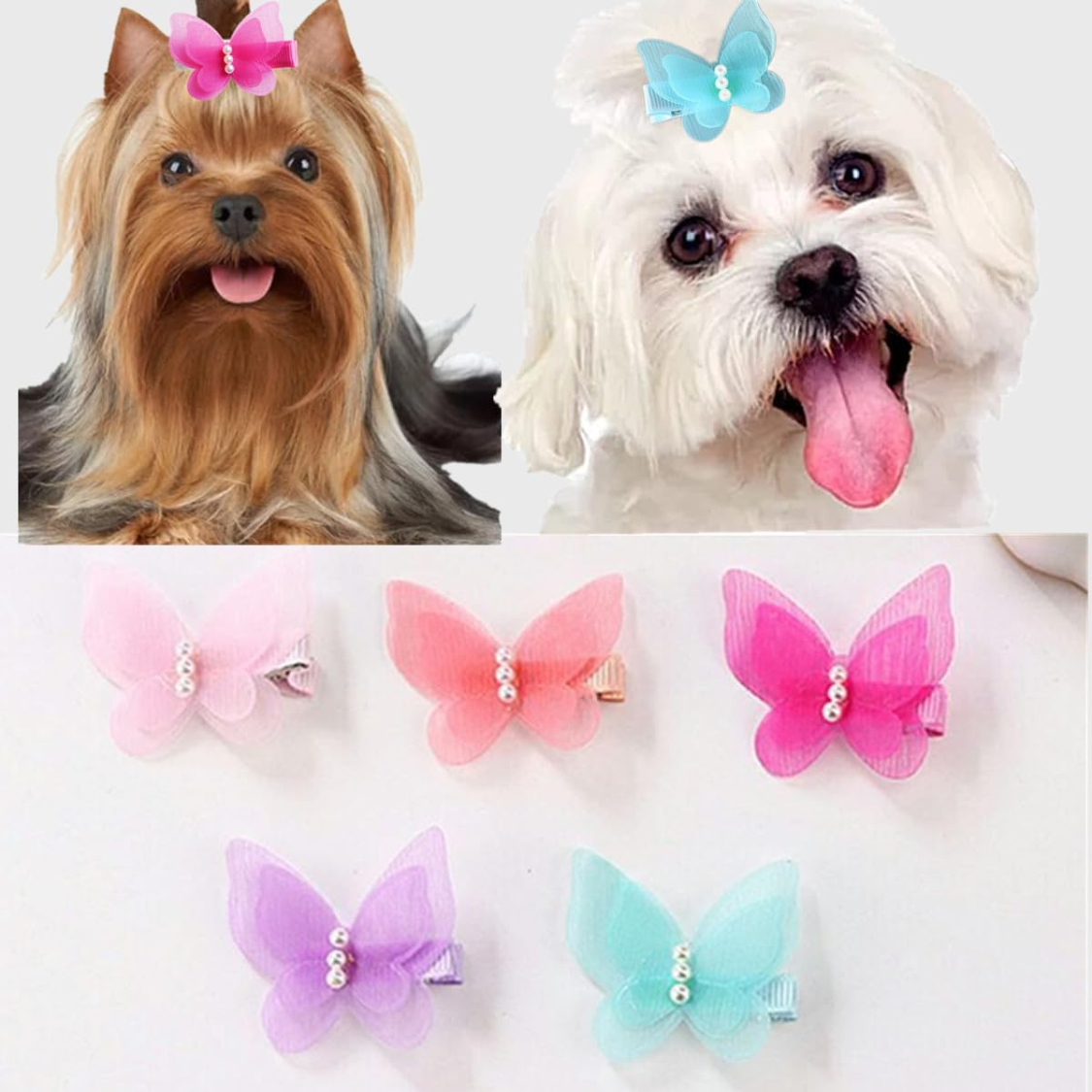 Accessoires pour cheveux pour animaux de compagnie 10pcs