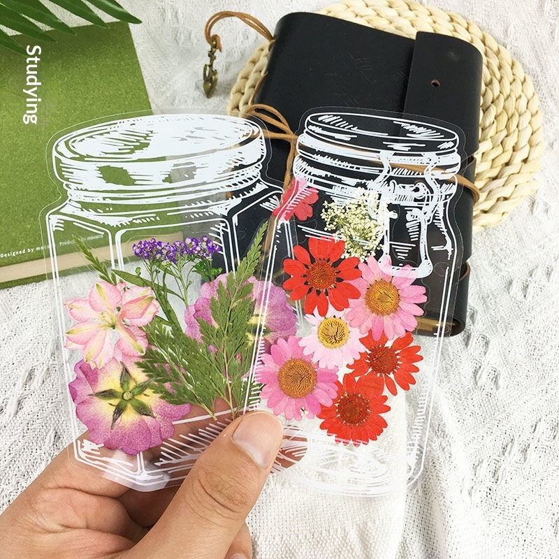 Signets de fleur séchée culturelle et créative Matériaux de bricolage faits à la main Fleurs pressées Transpa