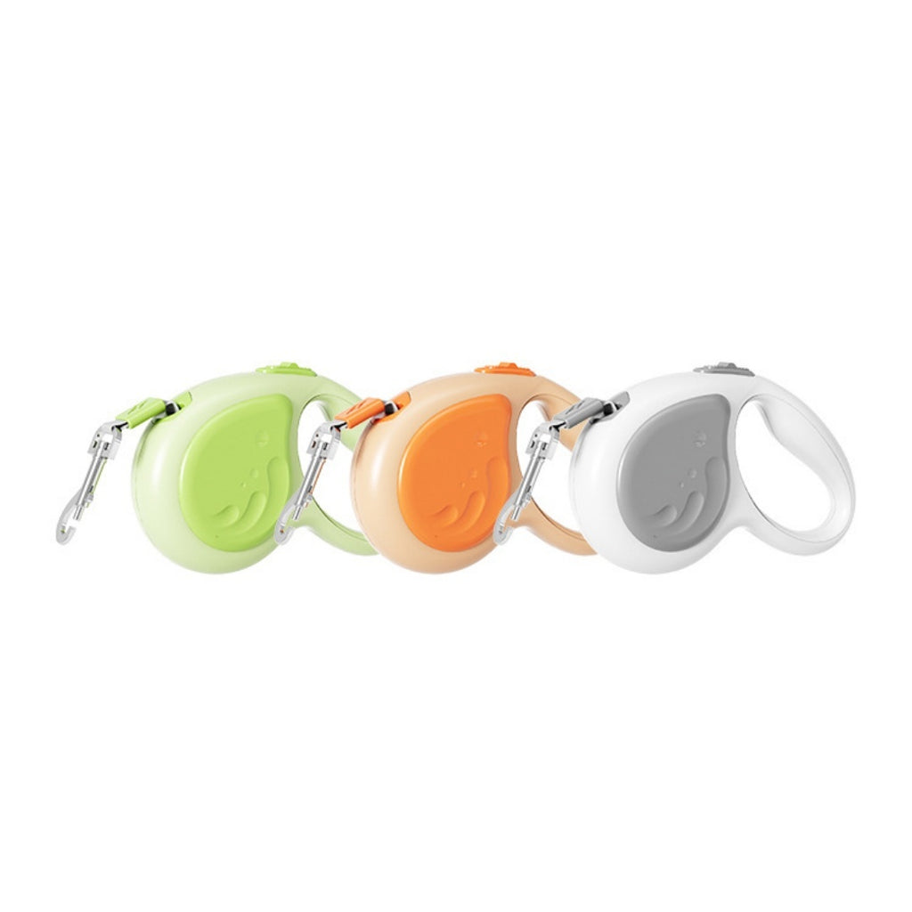 5m laisse rétractable pour animaux avec lampe de poche