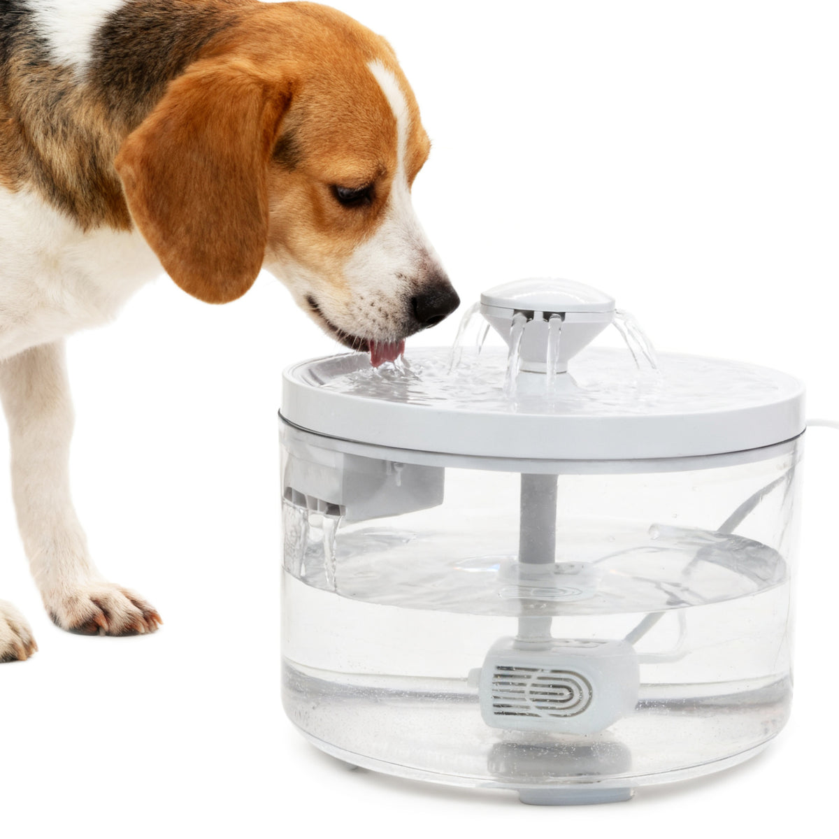 Fontaine automatique d'eau pour animaux de compagnie