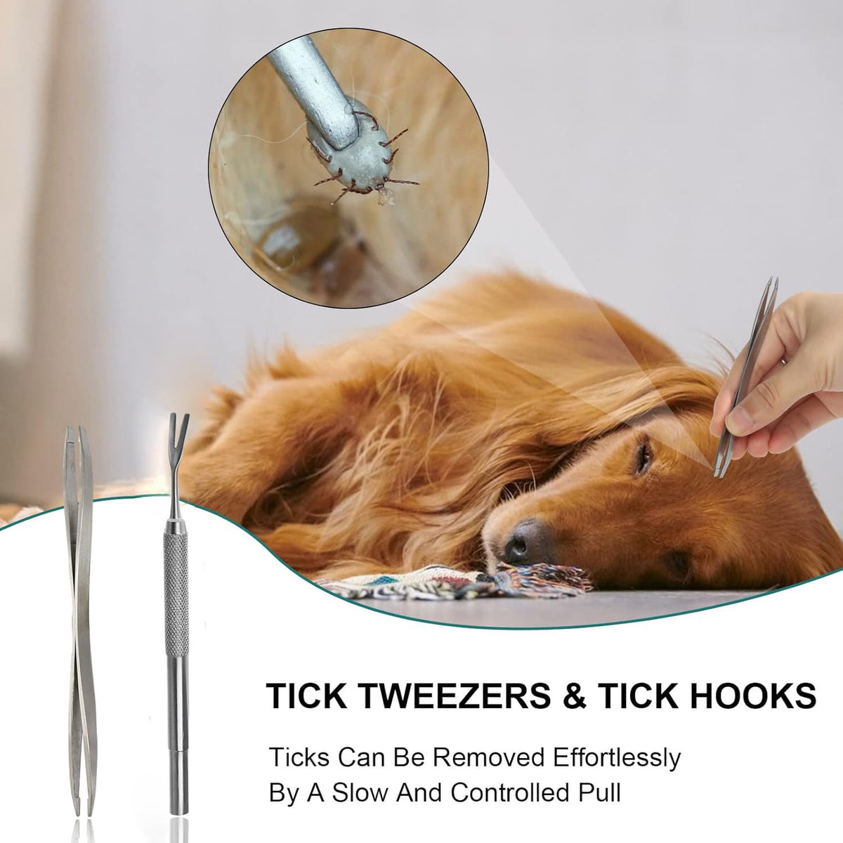 Tick Removal Tool 8-in-1 with Storage Box