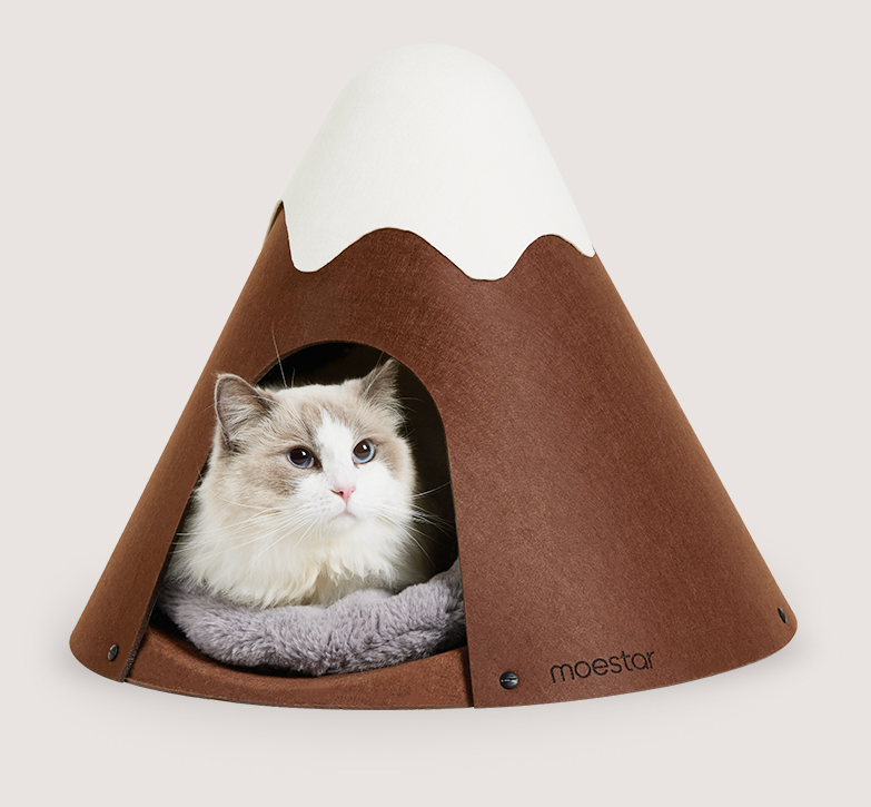 Tente de chat chaude fermée au sommet de la neige