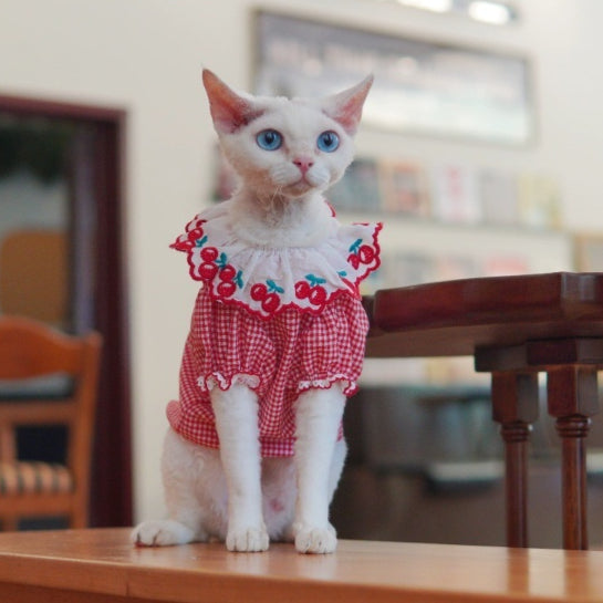 Sphynx Cat Rouge et Blanc Robe de coton d'été avec cerises Collier Dentelle Vêtements légers