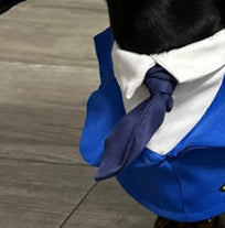 Dachshund Dog drôle vêtements Halloween costume