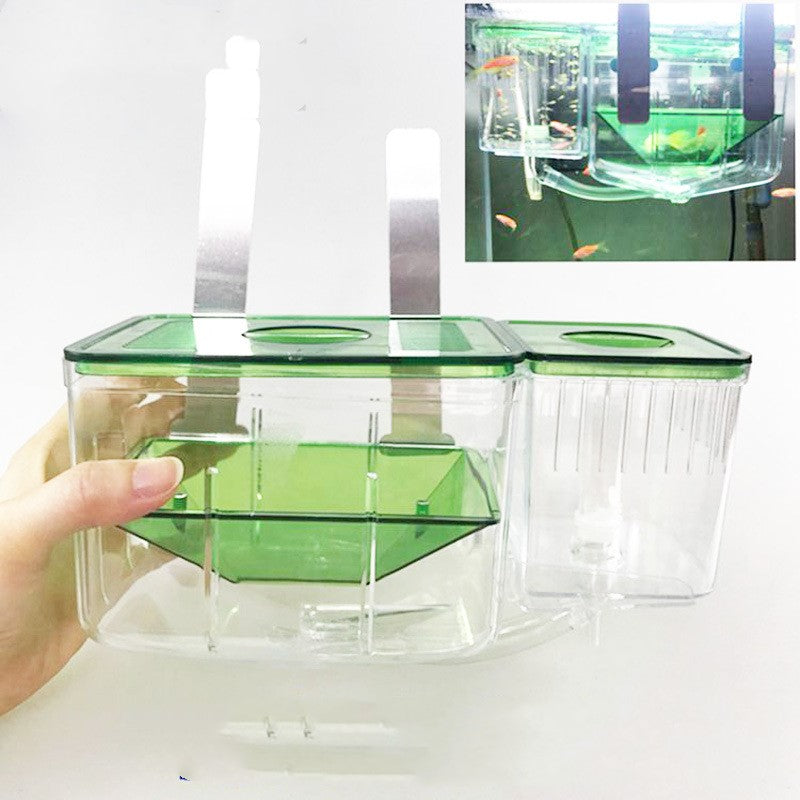 Boîte d'éclosion guppy malade boîte d'isolement de poisson combat poissons