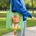 Porte-animaux en toile de grande capacité avec un haut ouvert