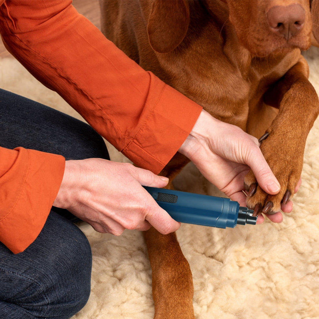 1Pc Poignard à ongles de chien 2 vitesses silencieux USB Rechargeable Pet Poignard professionnel Nai