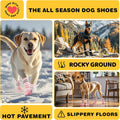 Chaussures pour chiens