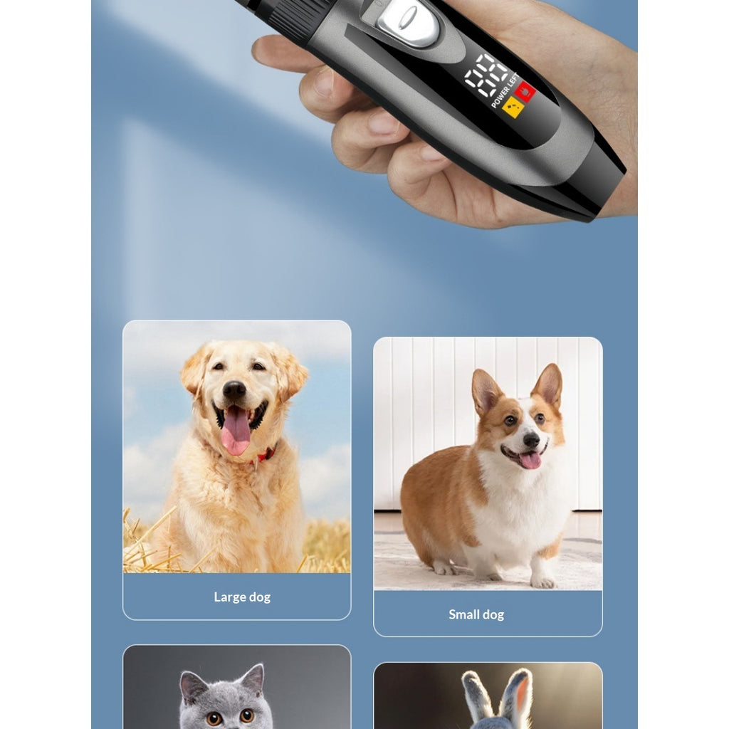 Clipper professionnel de grooming pour chiens.