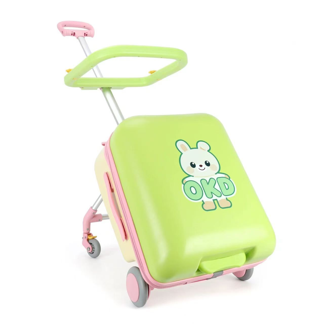 Valise amovible de 20 pouces